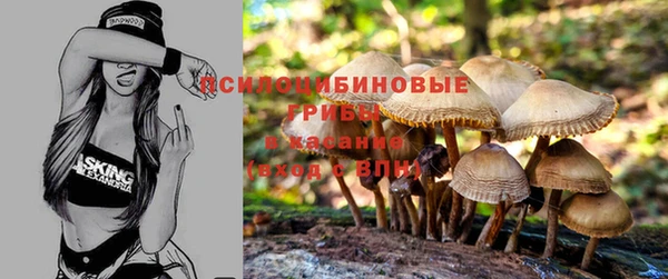 мяу мяу кристалл Алексин